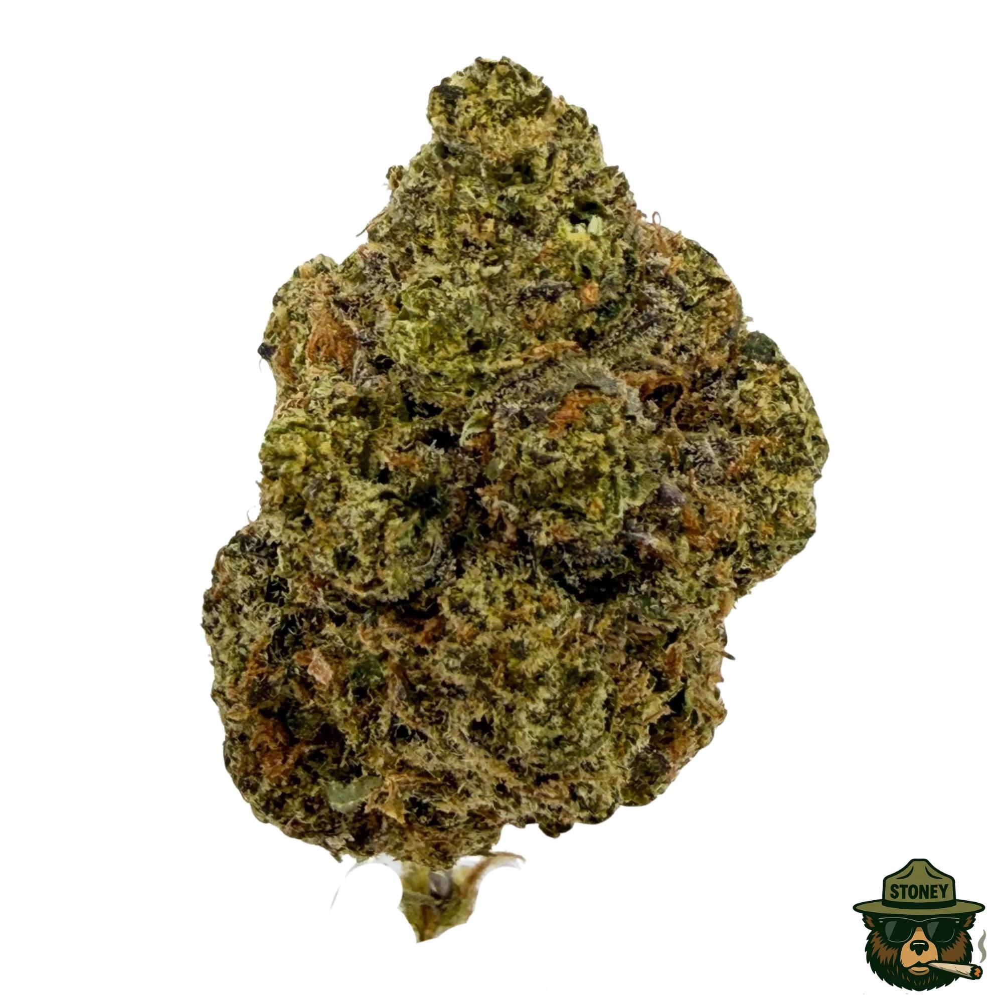 Lemon Cherry Gelato (LCG) | 14g - Image 1