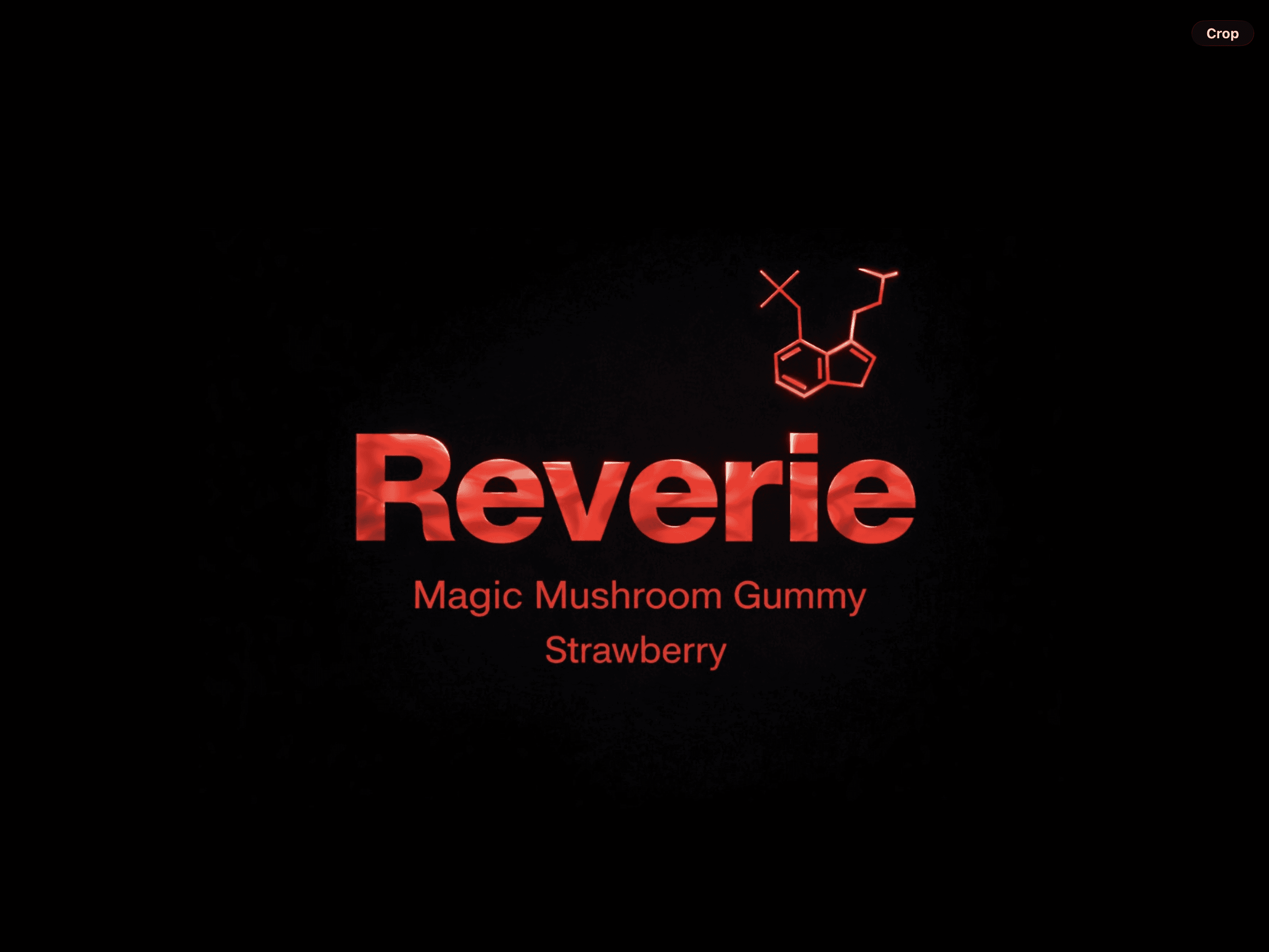 REVERIE PREMIUM MUSHROOM EXTRACT - Image 1