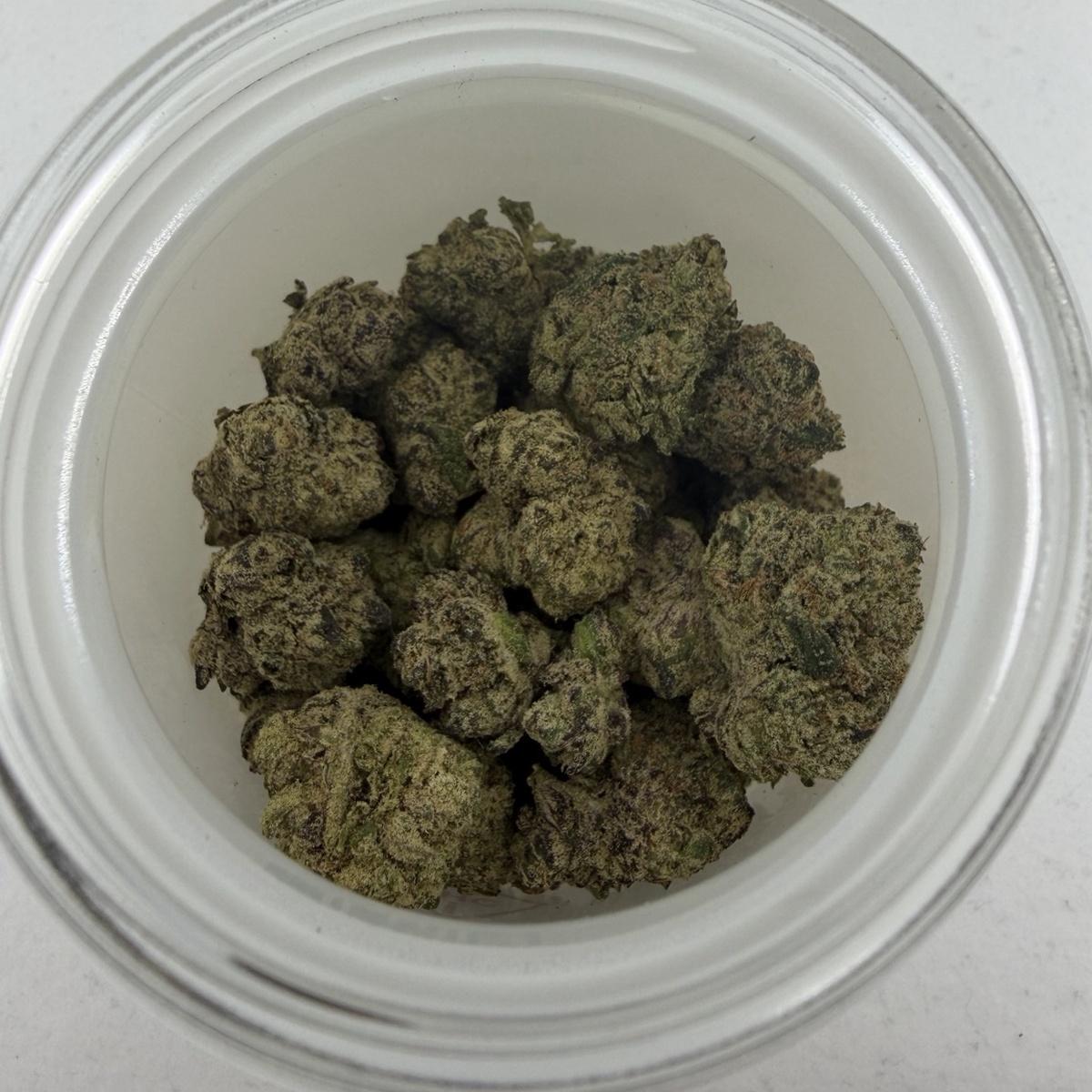 Purple Pebblez - 14G                                    (Small/ Mediums)