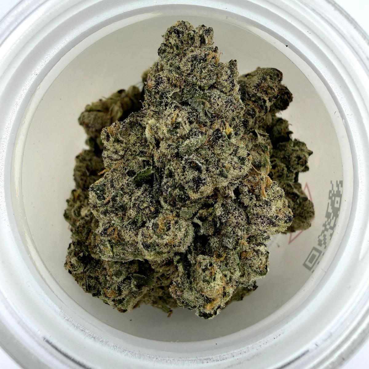 Irene SS -7G - Image 1