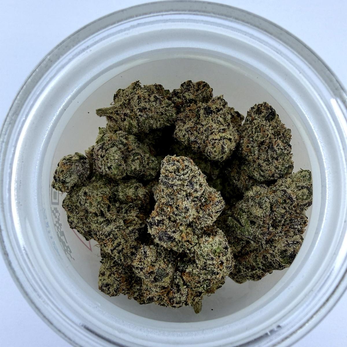 Ursula -7G - Image 1