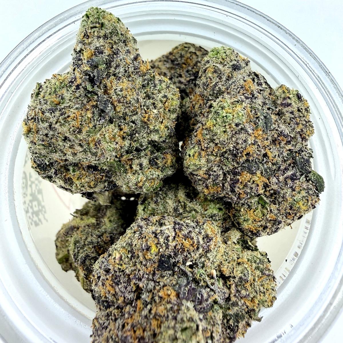 Gelato 41 -14G - Image 1