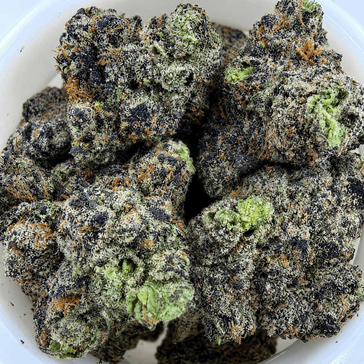 Brain Freeze -7G - Image 1