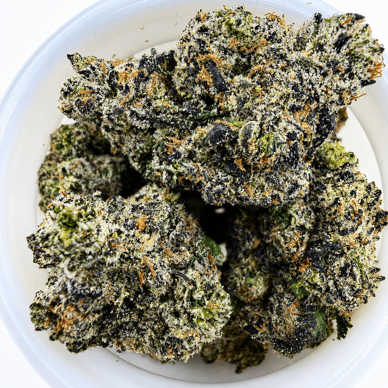 Sundae Church -14G - Image 1