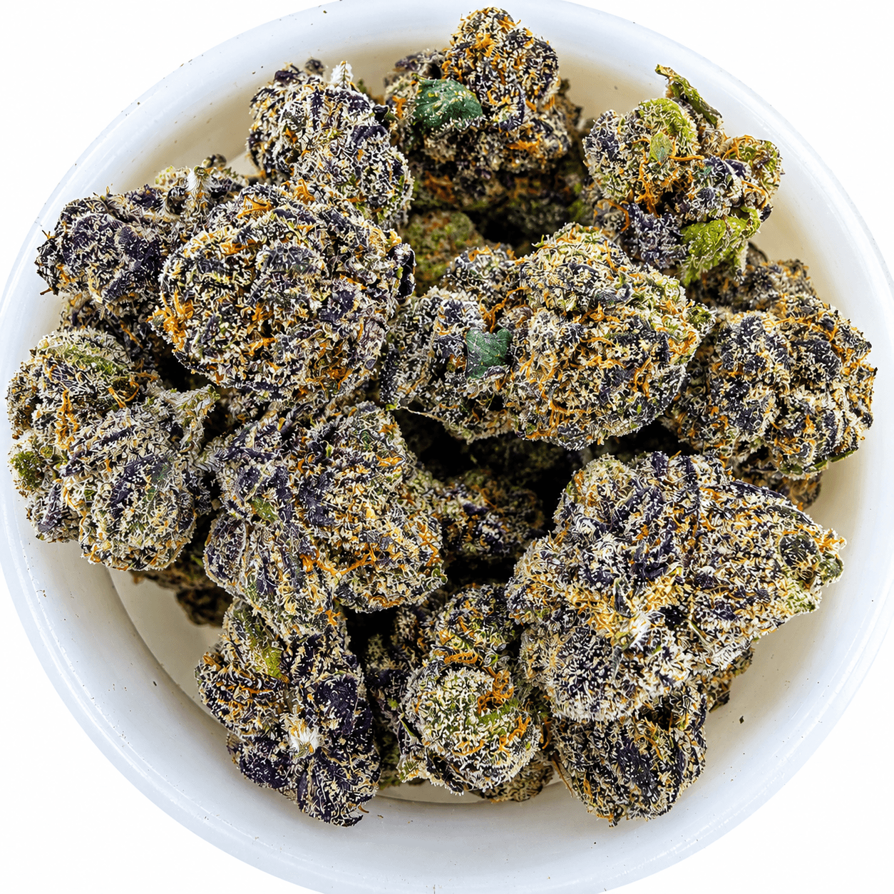 Lemon Cherry Gelato  Small/ Medium -14G