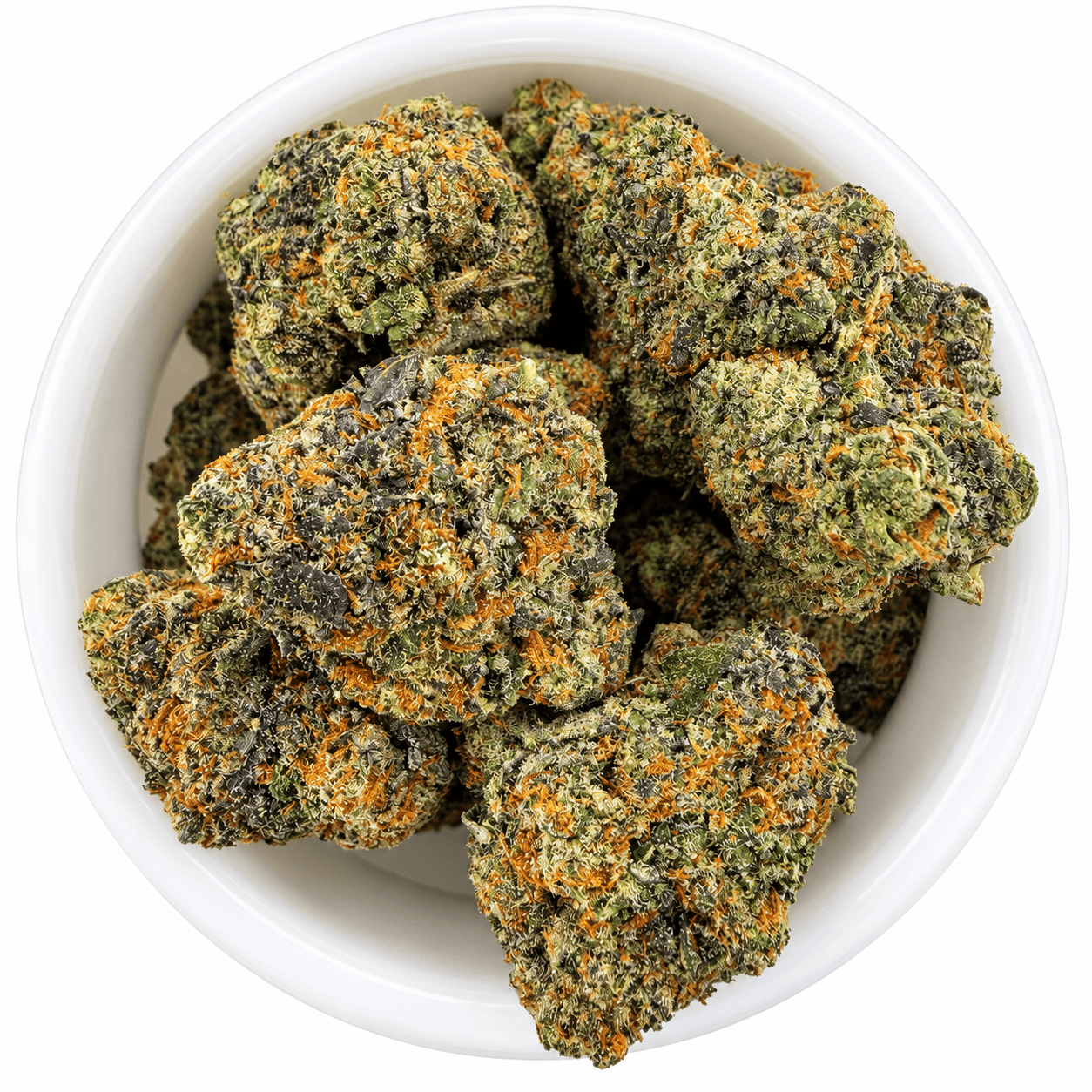 Biscotti -14G