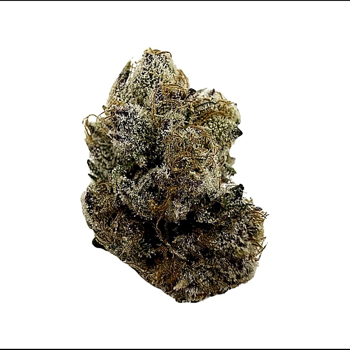 PEACH TREE - Image 1