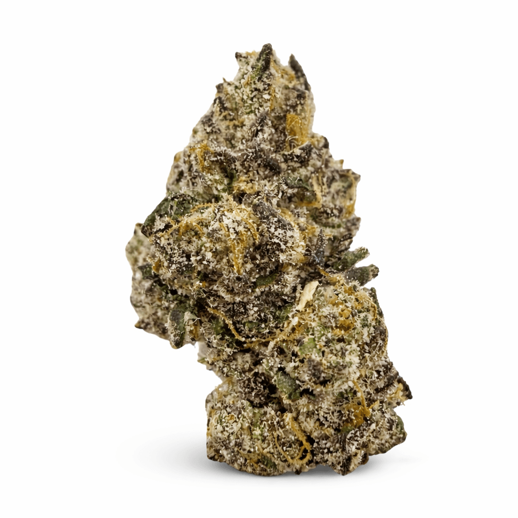 BLUEY VUITTON - Image 1