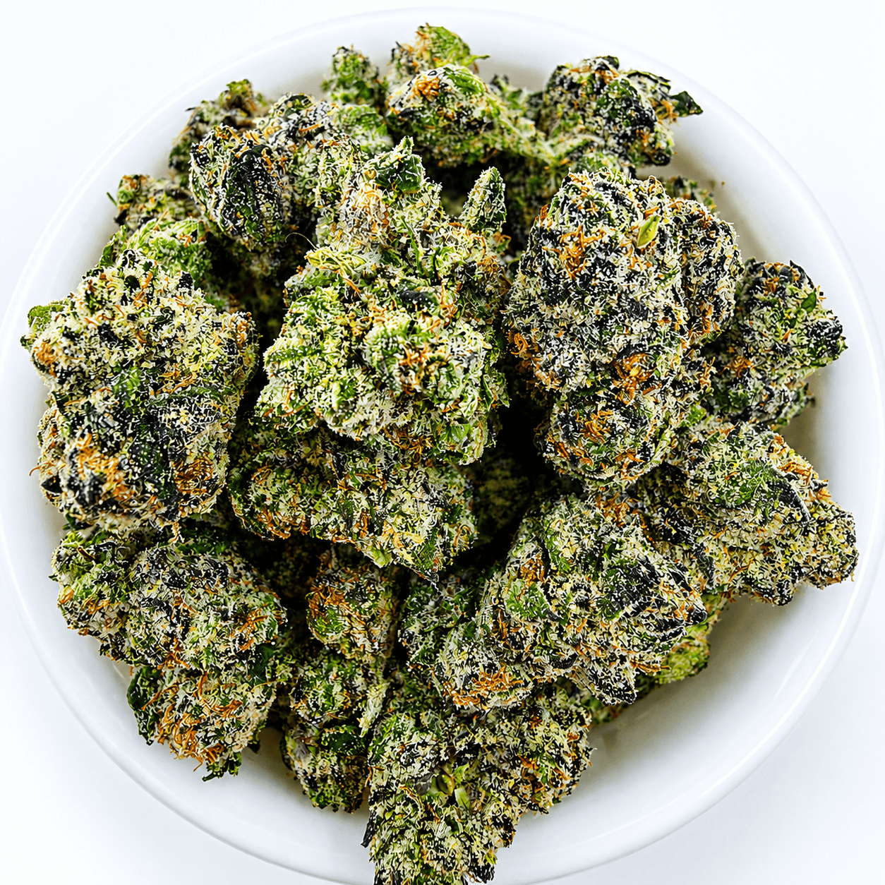 Gelato G41 Small/ Medium -14G - Image 1