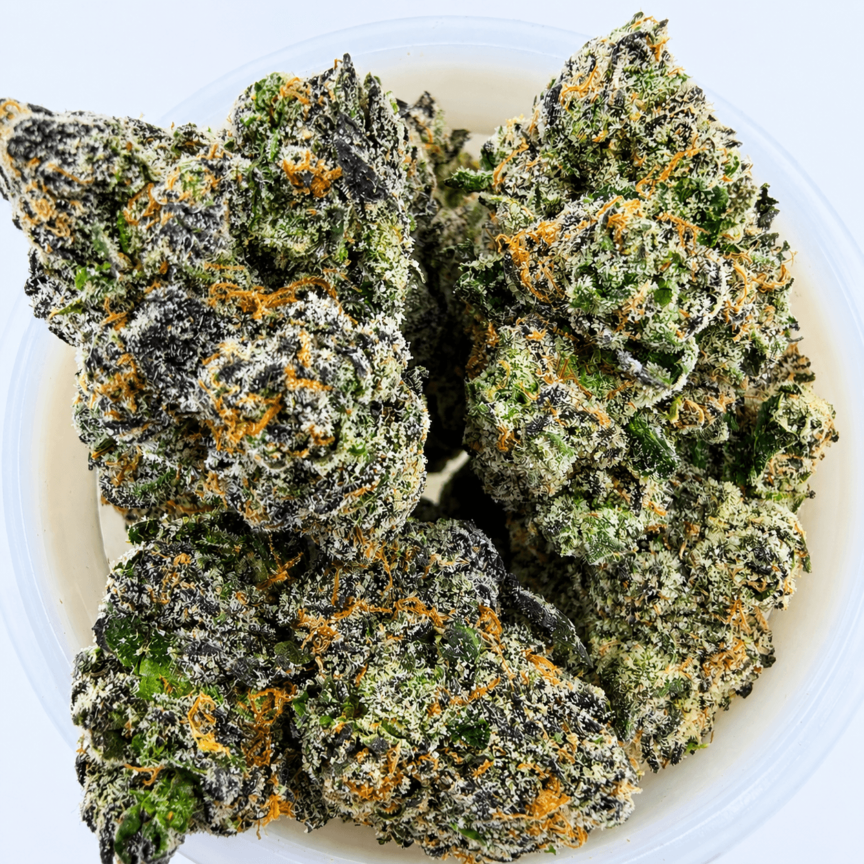 Pink Trufflez -14G - Image 1