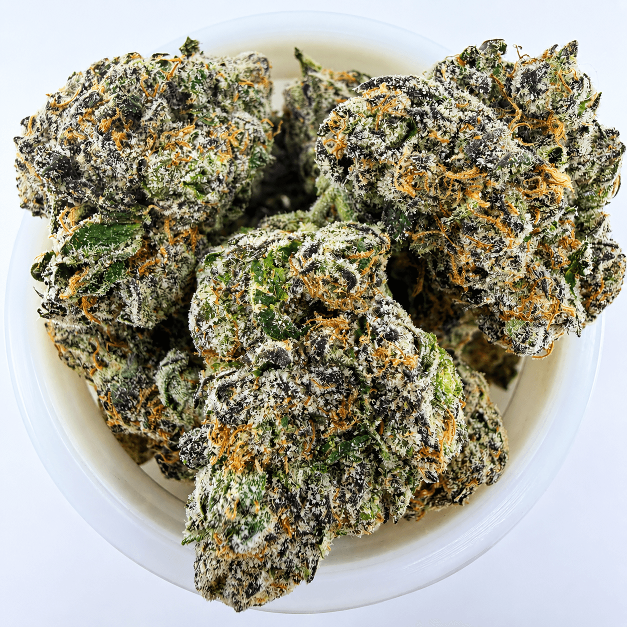 Razzberry Biscotti -7G - Image 1